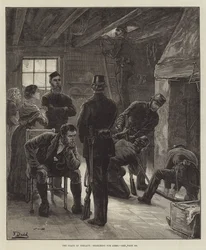 Der Zustand Irlands, Suche nach Waffen